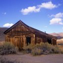 Bodie