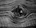 Bodie's Eye