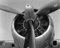 B-17