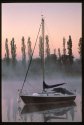 Another Misty Morning.
