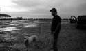 Timmy and barrowed dog