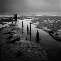 Seasalter No.9