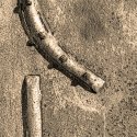 Rudder Abstract