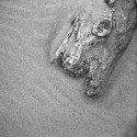 Driftwood in sand