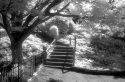 Goodbye HIE #2: Southchurch Hall