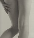 Libby - Legs