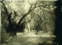 Alumitype Park