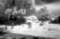 Goodbye HIE #5: St Mary's graveyard