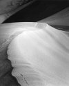 Guadalupe Dunes