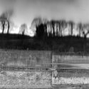 Wylam Tyne