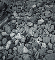 Beach Rocks Near Portland Head Light