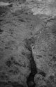 Limestone rift