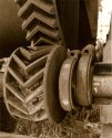 Cog