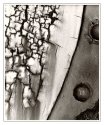paint abstract