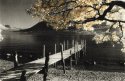 Selective toning 1