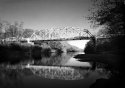 LATE AFTERNOON BRIDGE