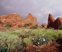 somewhere in Arches NP