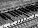 Musically Inclined