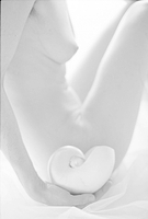 Nude & Nautilus I
