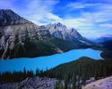 Peyto Lake 2007