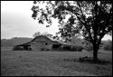 Old Barn #1