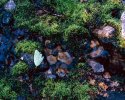 A haiku about a mountain
