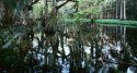 fisheating creek