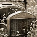 Forgotten Ford