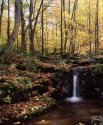 Hogcamp Branch Fall Colors