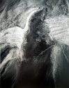 Tidal Wings