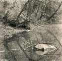 Arches, Eagle Creek