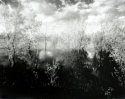 An invisible view of a strange little pond