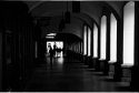 Into the Darkness