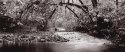 Prairie Creek, 1980