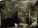 Spicewood creek