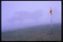 Flag.
