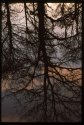 Reflection.
