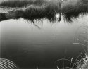 Lower Owens River, November, 2007