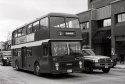 Magic Bus