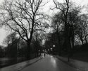 rain in the park