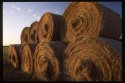 Bales of Hay.