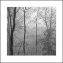 Fog and Ice