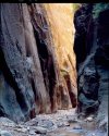 Orderville canyon - Zion Nat. Park