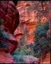Canyon wall view - double arch alcove