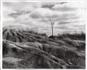 Cheltanham Badlands