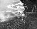 Pond Scum #86