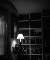 The Library