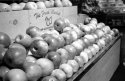 The Fresh Market