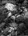 Boom Lake Stream