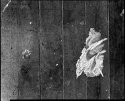 Paint on floor, Schoolhouse